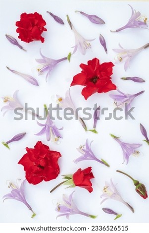 Beautiful delicate blue flowers and mini red roses on a white background. Floral pattern, botanical design. Vertical photo