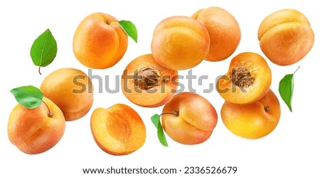 Ripe apricots and apricot halves flying in air on white background. File contains clipping path. Royalty-Free Stock Photo #2336526679