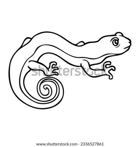 lizard line vector illustration,isolated on white background,top view