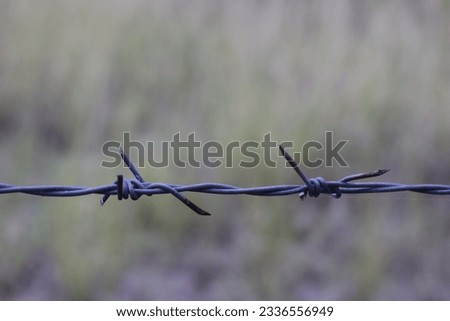 barbed wire on the wall. close-up barbed wire