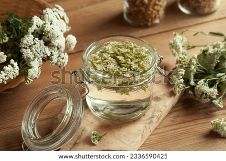 Making herbal tincture from fresh yarrow flowers and alcohol Royalty-Free Stock Photo #2336590425