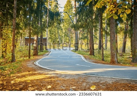 Asphalt footpath in fall park. Curvy roadway in forest at national park in sunny day. Roller skating road in forest. Scenic autumn landscape of road through the park.