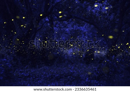 Fireflies in the forest, good for natural night background 