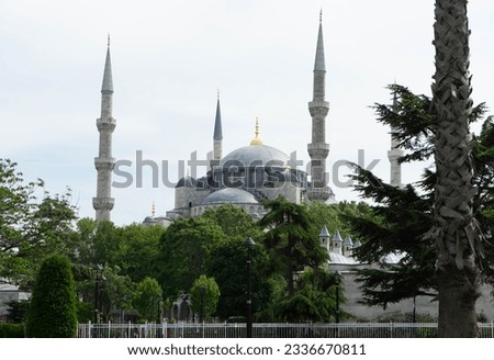 Landscape picture of the Blue Mosque in Turkey Istanbul on a Summer day