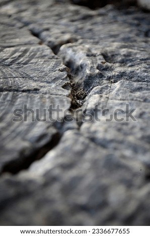 very beautiful old wood photo background for wallpaper