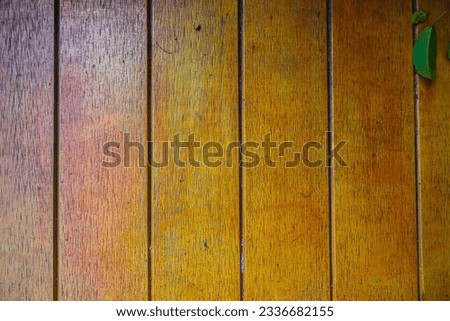 Wood texture background from natural trees. The wooden panel has a beautiful yellowish-brown pattern, hardwood floor texture.
