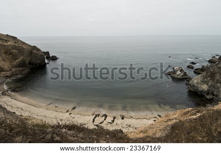 Wide angle photo of a secret beach that seals have made there napping location.  Photo taken north of San Francisco.