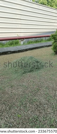 This is a photo of a pile of garden grass clippings