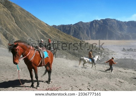 Horses await the master at the top of Mount Bromo 