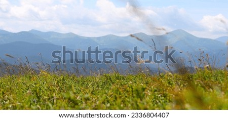 Mountain range with a grassy field in the foreground. The mountains are blue-green in color and have a hazy appearance. The sky is blue with white clouds.