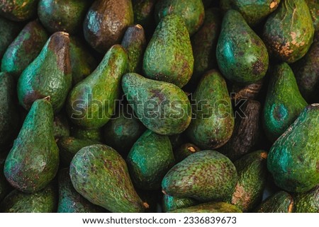 Close-up view of many avocados in the market. Food concept.