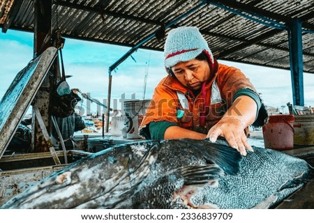 Woman cleaning a big fish while working in the port. Fishing industry concept.
