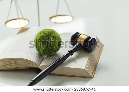 International Law and Environment Law.Green World and gavel on a book with scales of justice. law for global economic regulation aligned with the principles of sustainable environmental conservation. 