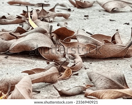 Many dry leaves on the cement floor.