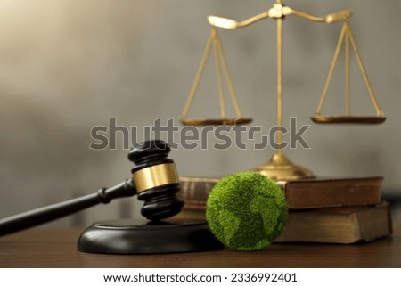 International Law and Environment Law. Green World and gavel with scales of justice and books. law for global economic regulation aligned with the principles of sustainable environmental conservation. Royalty-Free Stock Photo #2336992401