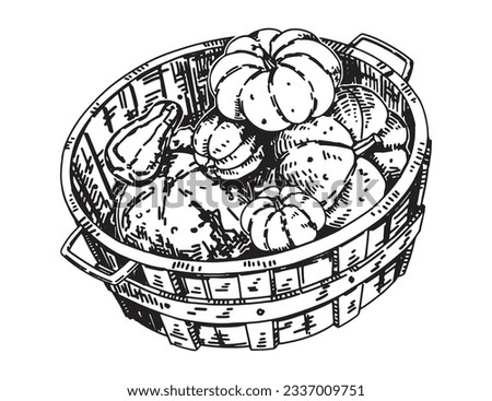 Outline clipart of basket with pumpkins. Doodle of autumn agricultural harvest. Hand drawn vector illustration isolated on white background.