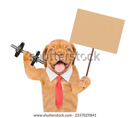 Smart Mastiff puppy wearing  necktie lifts dumbbells and shows empty placard. isolated on white background