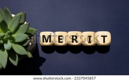 Merit symbol. Concept word Merit on wooden cubes. Beautiful deep blue background with succulent plant. Business and Merit concept. Copy space.