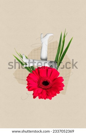 Vertical collage picture of black white colors women legs boots stick gerbera flower isolated on painted beige background