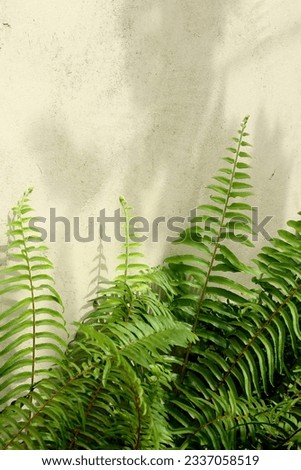 green fern leaves that grow wild in the bush grow naturally without being regulated by humans