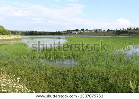 A grassy area with water and a building in the background Royalty-Free Stock Photo #2337075753