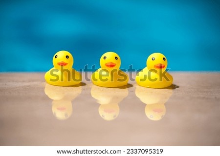 Summer season, the concept of a friends team or family vacation. three yellow rubber ducks near the pool