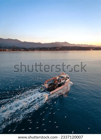 Aerial view of fishing boat surrounded by black-headed gulls in coming back to the port at the sunset in Black Sea . Vertical picture