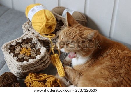 Cute ginger cat laying on the bed with a ball of yarn and crochet hook. Cat playing with with crocheted ornament. Cozy autumn picture. 