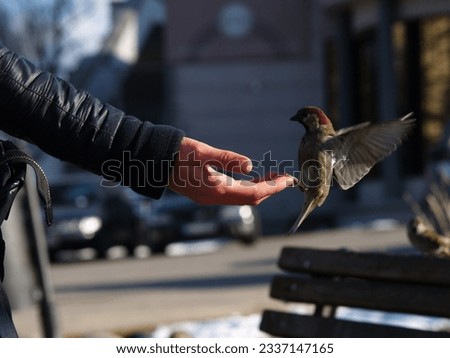 Girl holds wild small bird in hand