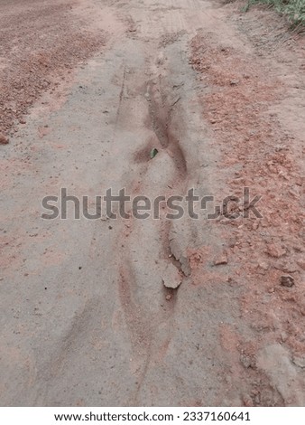 soil road eroded by water