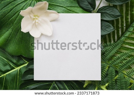 White paper frame over green grass, white flowers above it