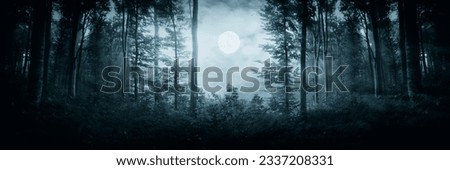 full moon in dark woods at night, fantasy forest panorama Royalty-Free Stock Photo #2337208331