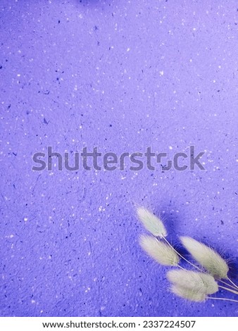 Beautiful purple floral minimal composition. Green soft lagurus or rabbit's tail grass texture background. Springtime concept.
Cosmetics product advertising backdrop. Flat lay top view copy space.