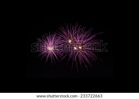 Firework or fire flower   in celebration night