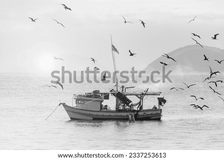 Shrimp fishing. Fishing boat in the open sea. Hungry birds flying over the boat at sunset. Black and white image. 