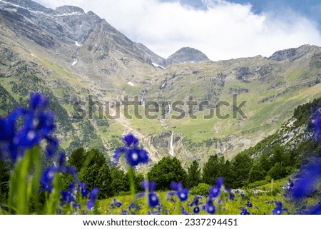 A mountain landscape in the Pyrenees, full of lilac lilies, a green field and a waterfall in the background.