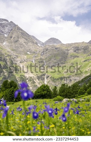 A mountain landscape in the Pyrenees, full of lilac lilies, a green field and a waterfall in the background.