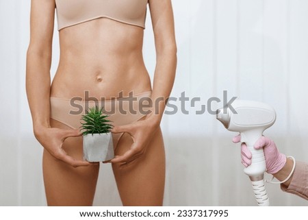 Close-up of bikini area depilation. Hair removal, joke, laser epilation, fun. Woman holds a cactus on the background of panties. Concept bikini laser hair removal.