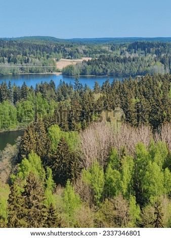 Forrest and Lake view from Aulanko park, Hämeenlinna Finland. Clear blue sky and green leaves with amazing view. Vertical scenery pictures.