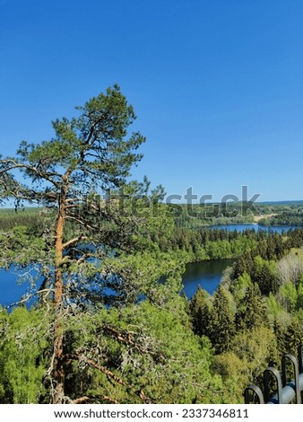 Forrest and Lake view from Aulanko park, Hämeenlinna Finland. Clear blue sky and green leaves with amazing view. Vertical scenery pictures.