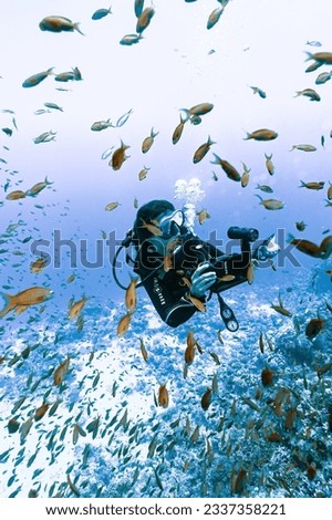 Woman diver taking pictures with corals on background in Egypt