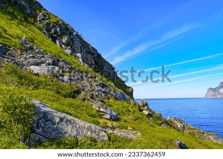 Amazing nature view with fjord and mountains. Beautiful summer Norway landscape. Artistic picture. Beauty world. The feeling of complete freedom