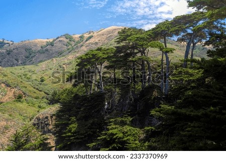 Santa Lucia Mountains and forest in Big Sur California 
