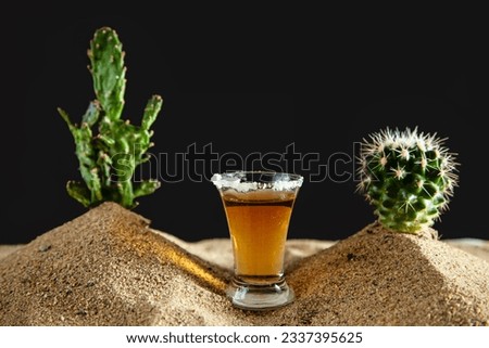 Shot of mexican tequila with lime and salt among sand dunes and cacti. Black background.