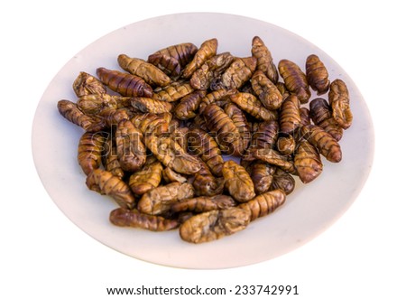 Fried silk worm is the food of the natives.