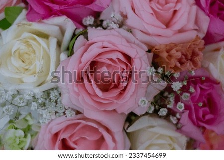 photo of light pink roses Decorated with white and dark pink roses, very beautiful.