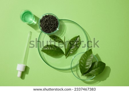 Fresh and dried green tea leaves displayed with a dropper and a beaker of green liquid. People have hailed the health benefits of Green tea (Camellia sinensis) for centuries Royalty-Free Stock Photo #2337467383