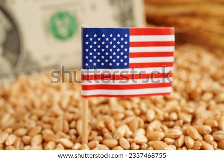 USA America flag on grain wheat, trade export and economy concept.