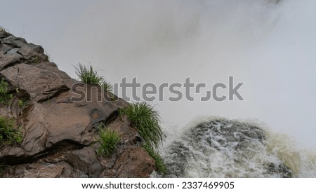 In the foreground is the edge of a cliff over a precipice. Green grass grows on wet stones. The stream of water is bubbling and foaming. In the background is a thick white fog from the waterfall. Royalty-Free Stock Photo #2337469905