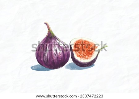fruit fig watercolor illustration vector Royalty-Free Stock Photo #2337472223